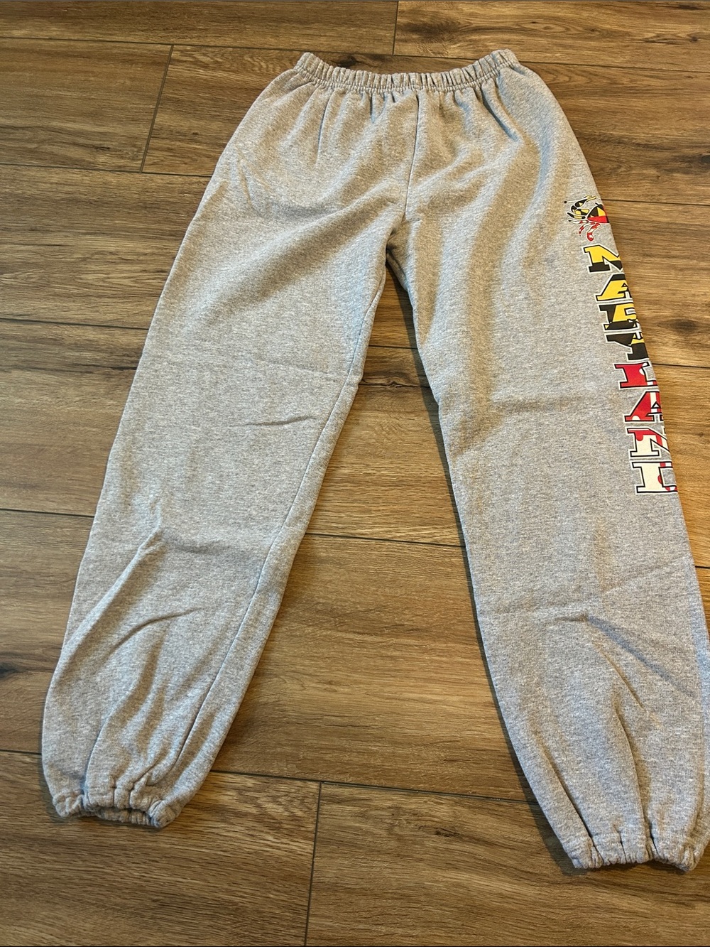 Gildan Gray Sweatpants with Colorful Side Graphic